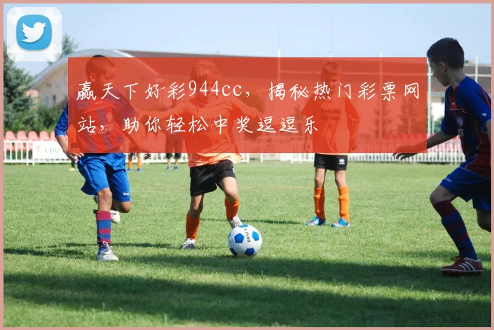 赢天下好彩944cc，揭秘热门彩票网站，助你轻松中奖逗逗乐