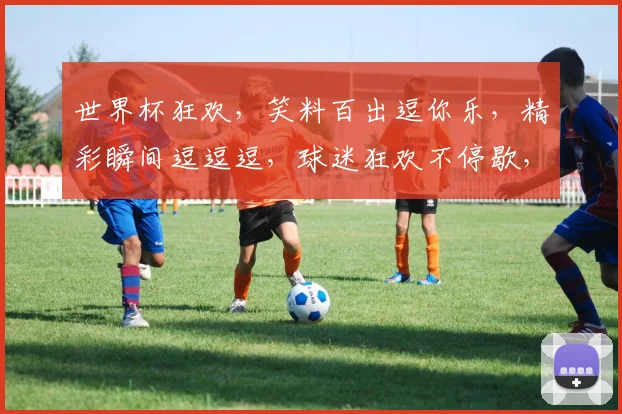 世界杯狂欢，笑料百出逗你乐，精彩瞬间逗逗逗，球迷狂欢不停歇，共赏欢乐盛宴