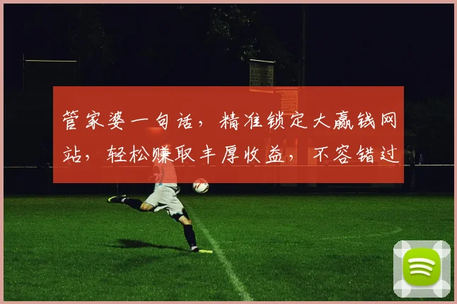 管家婆一句话，精准锁定大赢钱网站，轻松赚取丰厚收益，不容错过