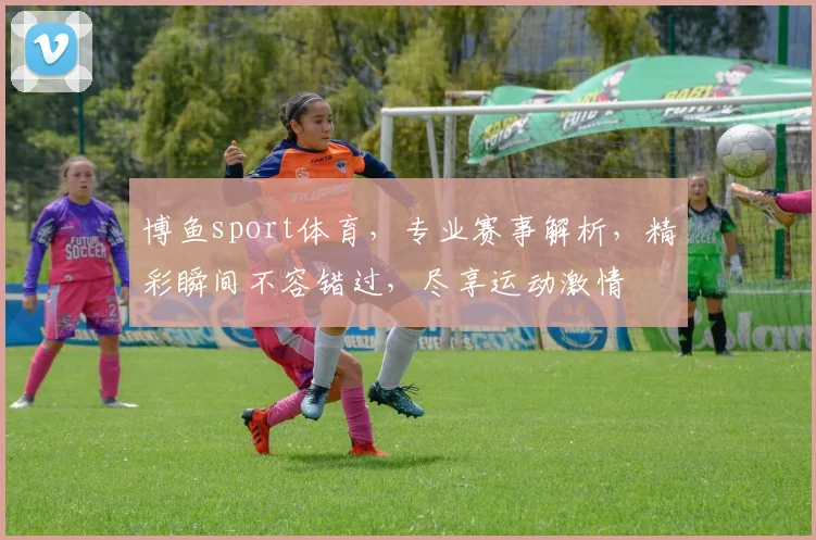 博鱼sport体育，专业赛事解析，精彩瞬间不容错过，尽享运动激情
