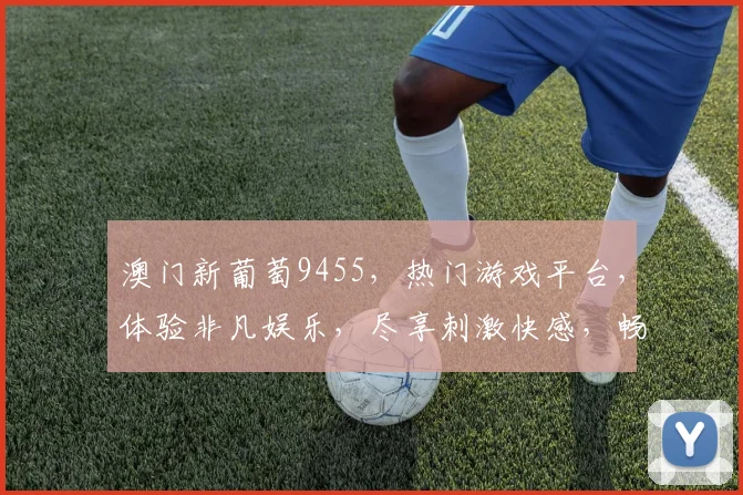 澳门新葡萄9455，热门游戏平台，体验非凡娱乐，尽享刺激快感，畅游娱乐世界